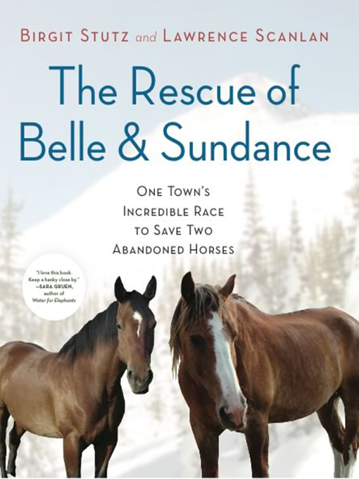 Title details for The Rescue of Belle and Sundance by Birgit Stutz - Available